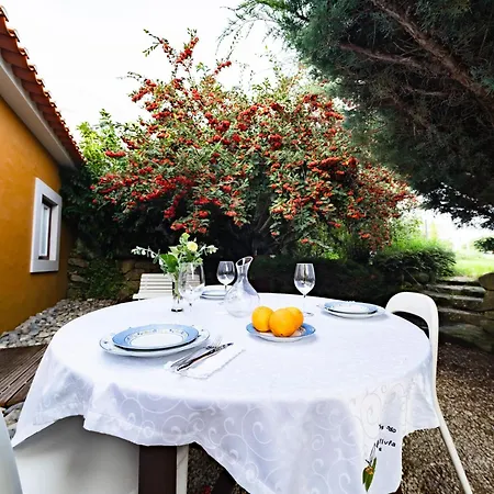 D'olivia By Interhome * Cela (Leira)